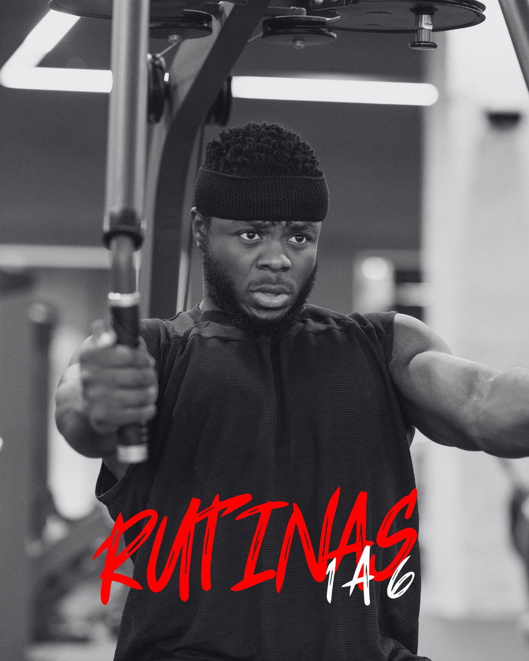 Rutinas 1 a 6 días